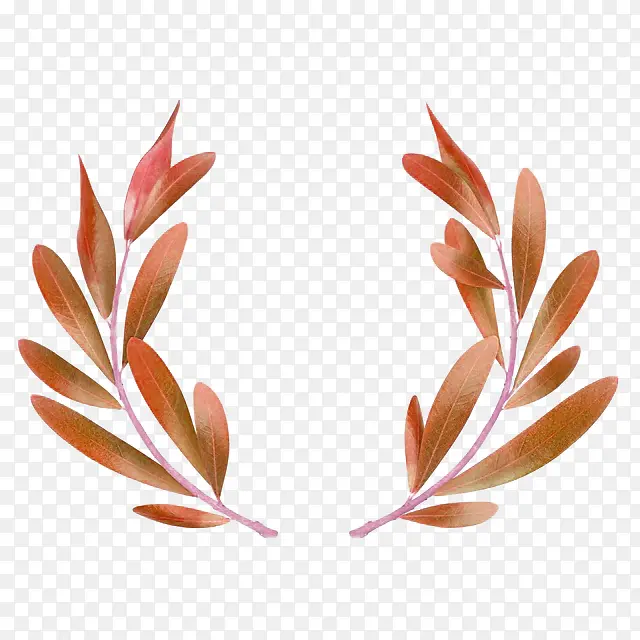 秋天叶子花环