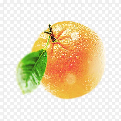 橘黄色橘子