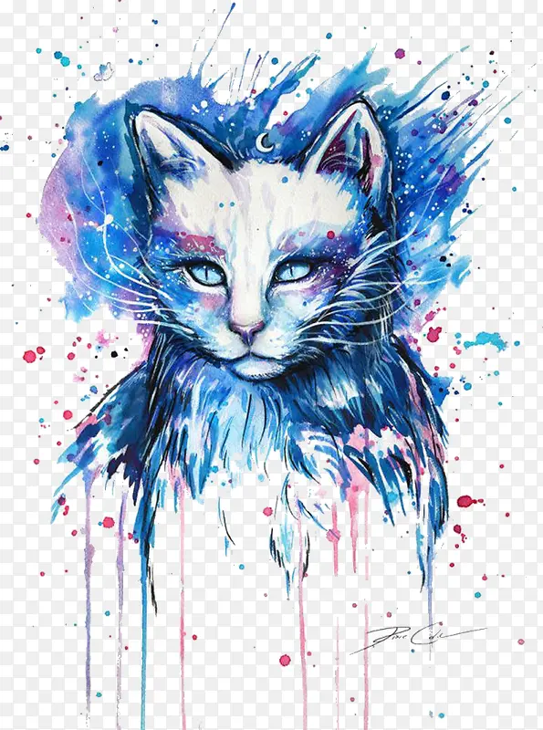 猫