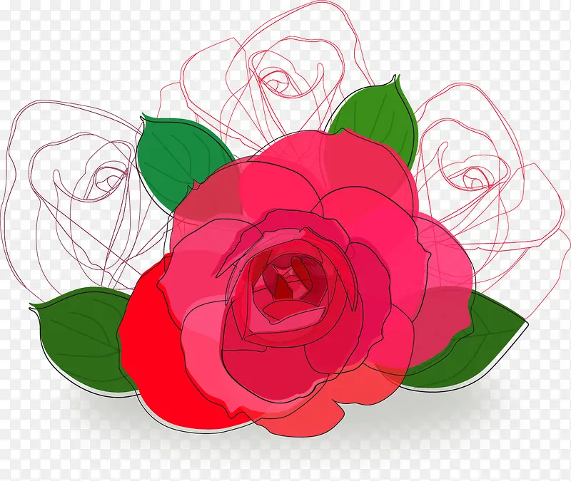 线条花花
