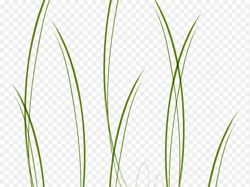 绿色手绘水草