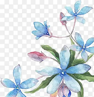 淡雅手绘花朵设计