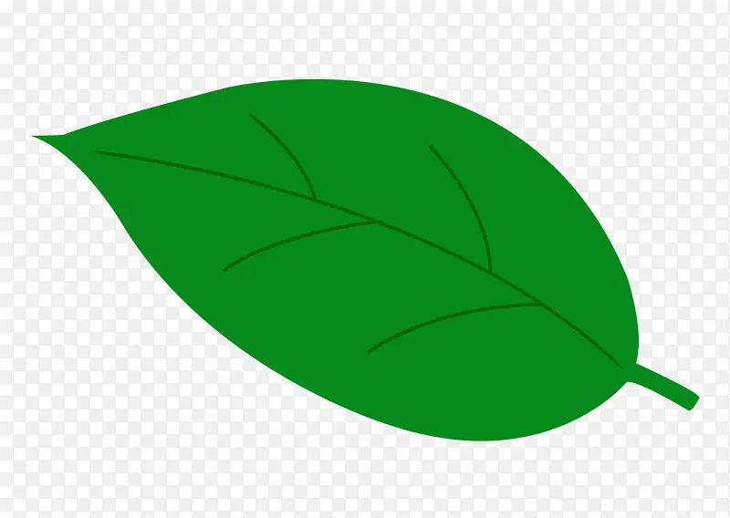 树叶绿色植物PNG免抠图