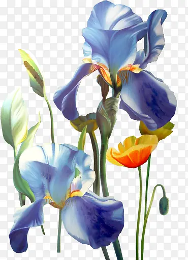 蓝色花花骨朵png素材