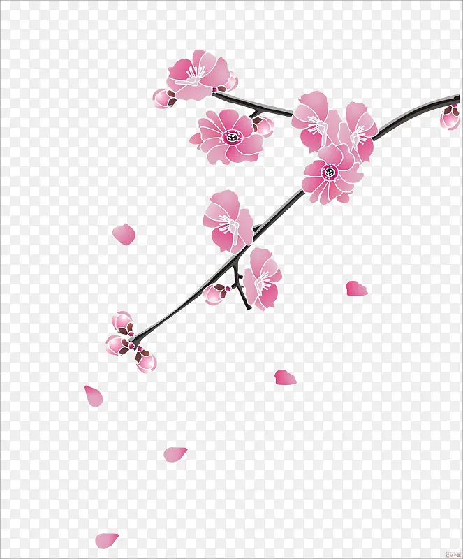 彩绘粉色花朵图片