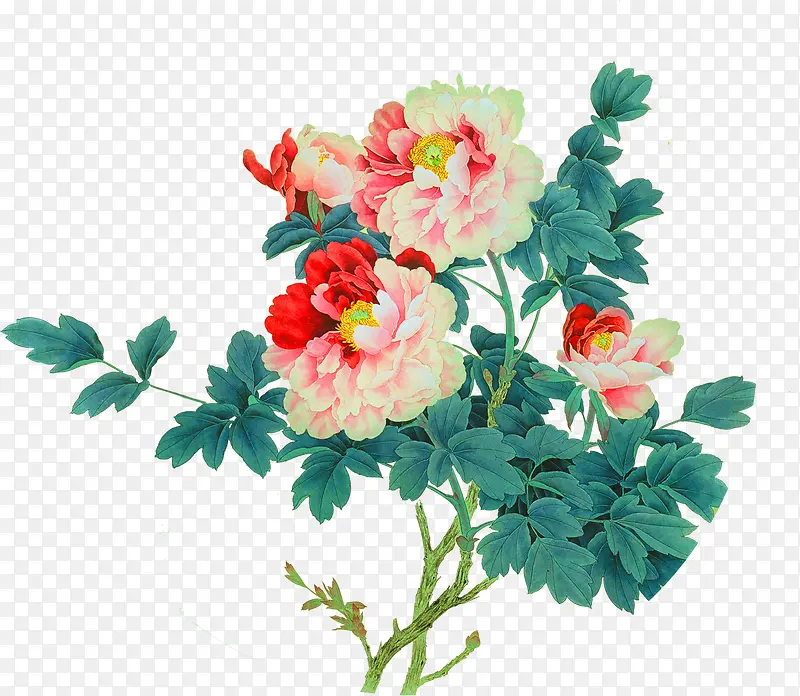 淡雅花朵美景景色