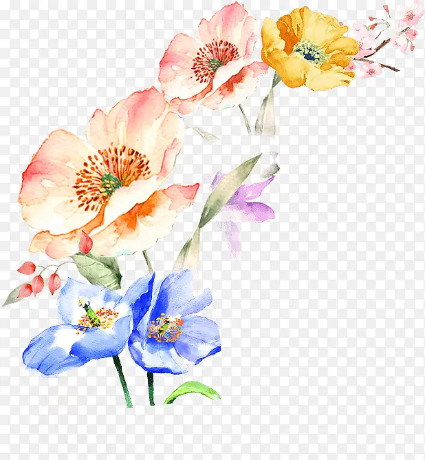 彩绘花朵植物素材