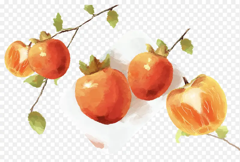 中国风手绘好吃成熟柿子