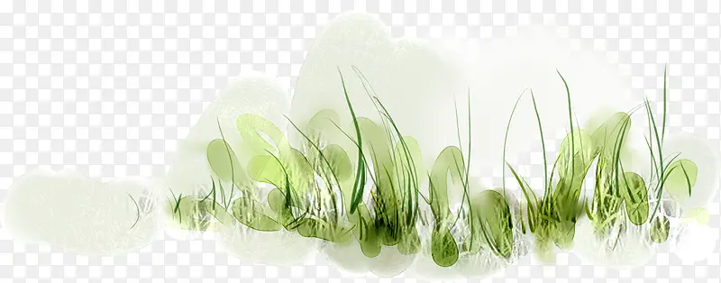 手绘春日绿色植物小草