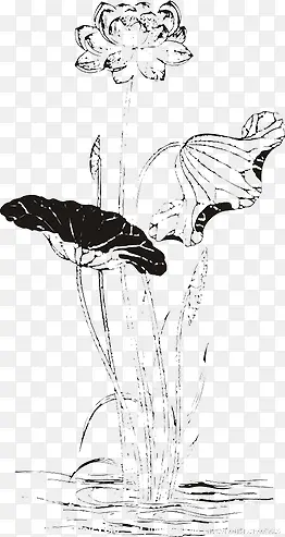黑色水墨复古莲花