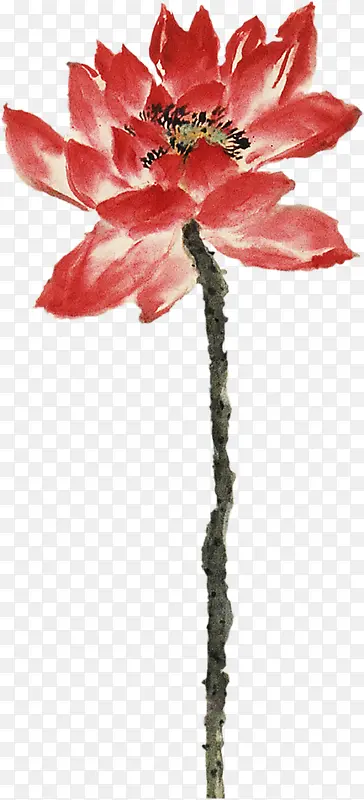 手绘红色水彩莲花装饰