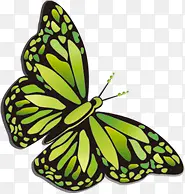 绿色蝴蝶动物装饰