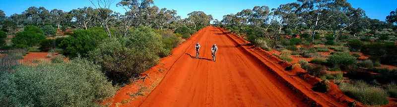绿色植物红色道路