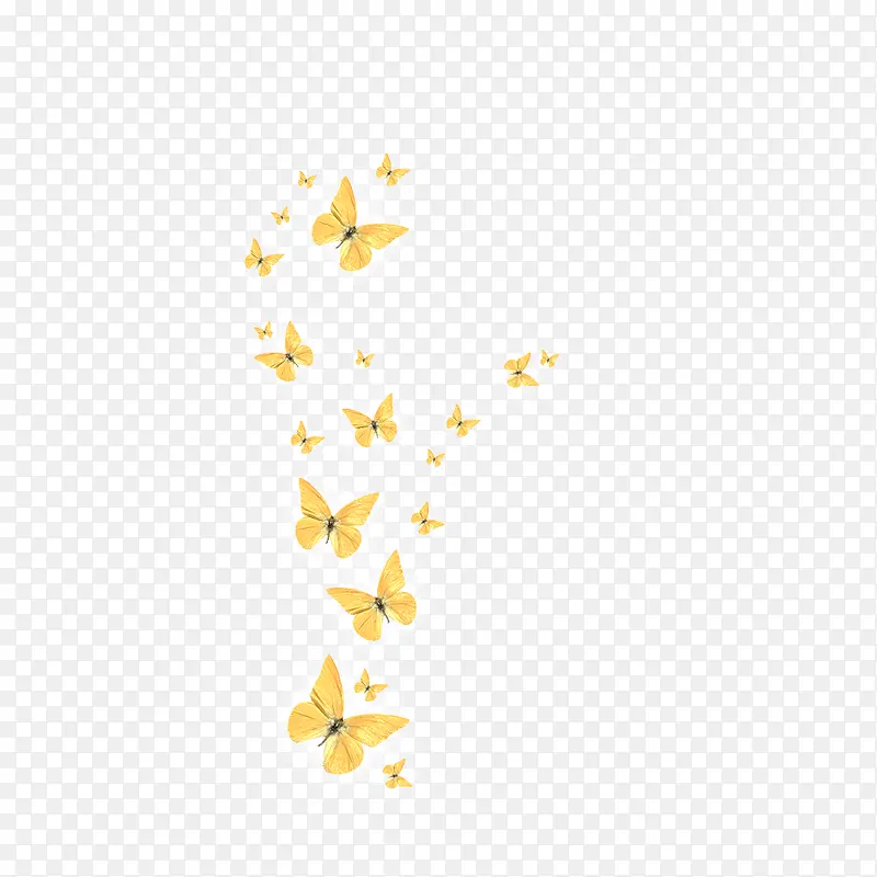 黄色的蝴蝶