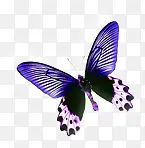紫色蝴蝶浪漫装饰