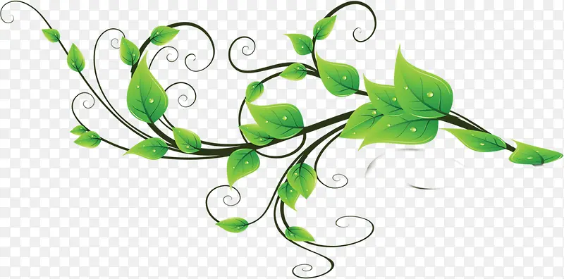 手绘绿色植物海报装饰
