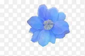 蓝色单朵盛开小花