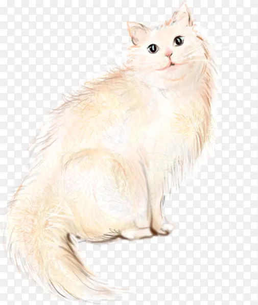 创意合成水彩白色的小猫