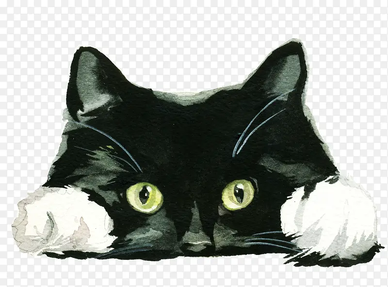 手绘水彩黑色小猫