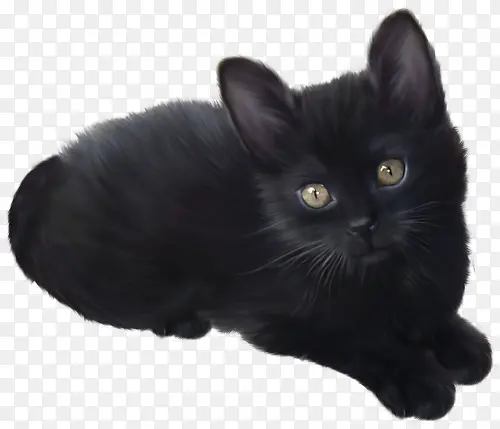 黑色小猫咪