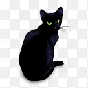 黑色小猫图片