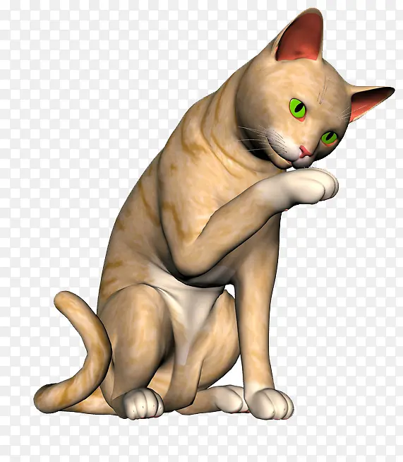呆萌的小猫