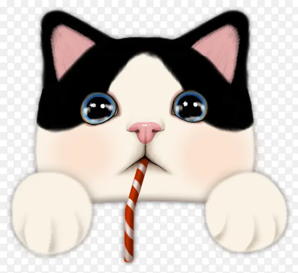 卡通小猫