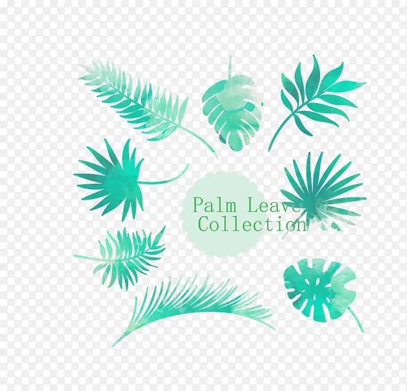 水彩绘棕榈树叶