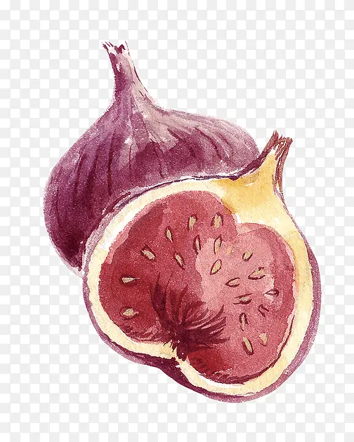 插画 洋葱 风格