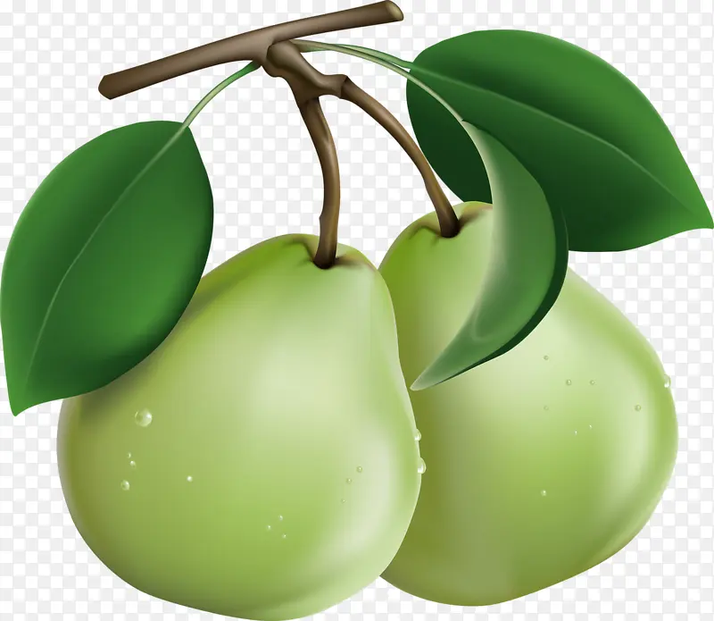 绿色清新梨子装饰图案