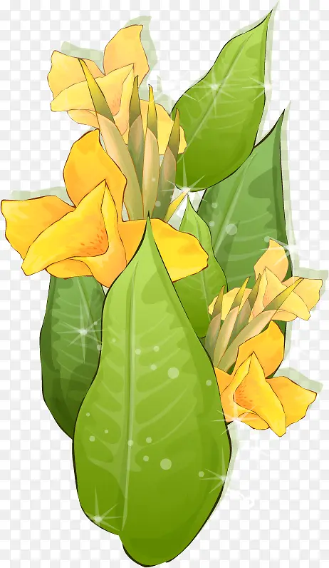 矢量植物黄色的花