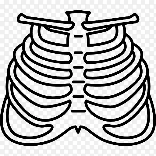 人的肋骨图标