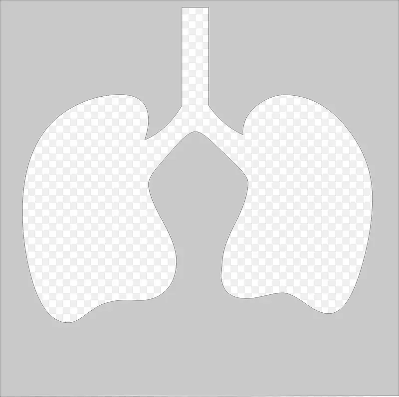 肺部照片
