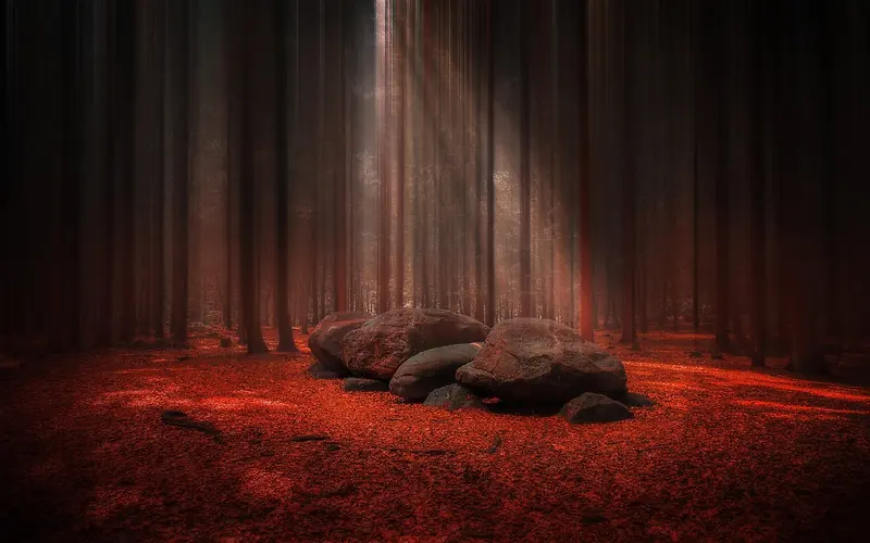 红色森林唯美高清