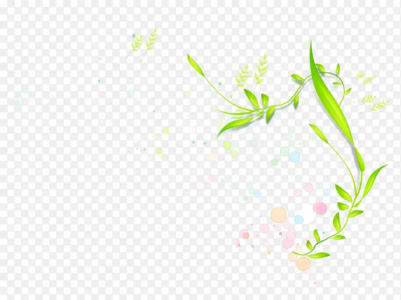 绿色花藤