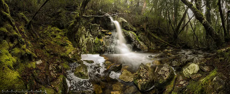 绿色森林流水摄影
