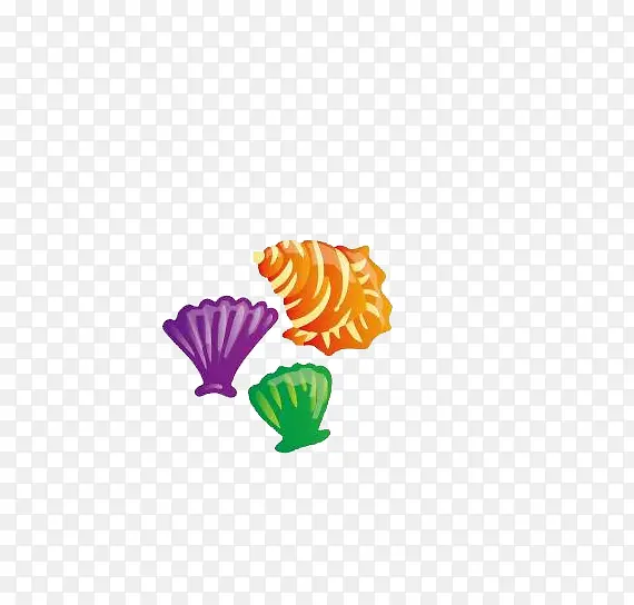 彩色的贝壳和海螺