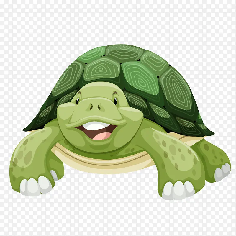 绿色卡通乌龟海龟