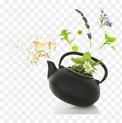 煮植物花茶的茶壶