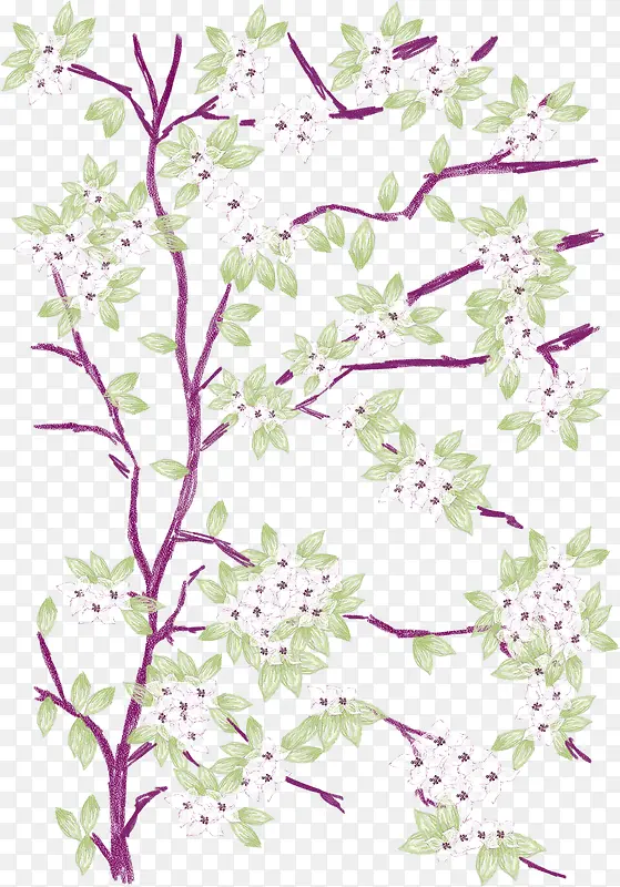 手绘绿紫色蔬菜水彩植物