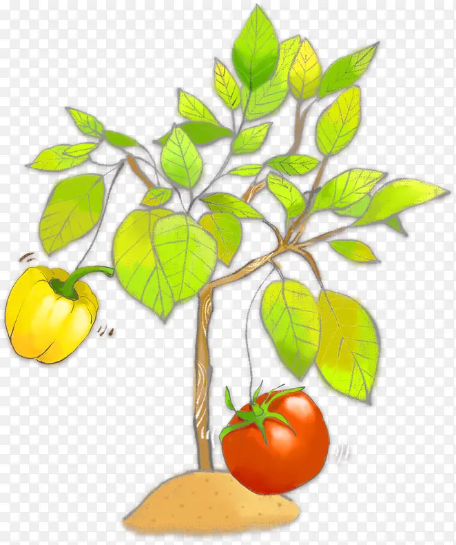 绿色手绘蔬菜植物青椒