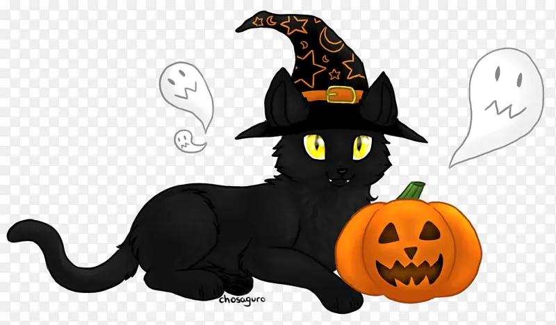 女巫帽子黑猫和南瓜