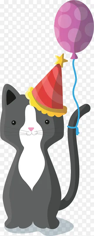 过生日的灰色猫咪