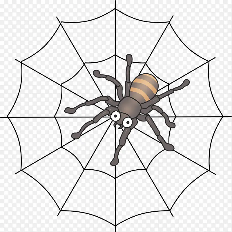 蜘蛛，蛛网，动物，卡通