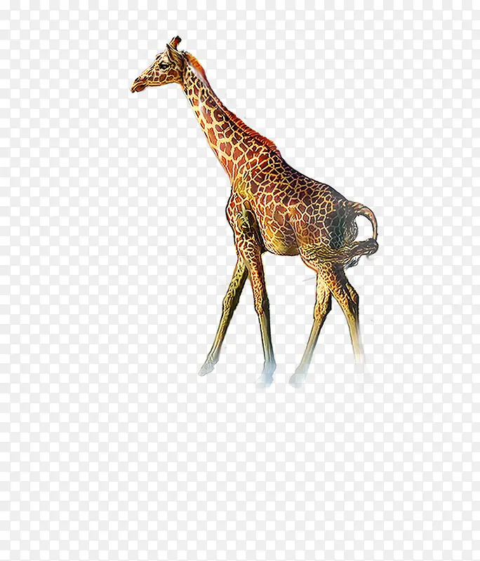 手绘长颈鹿设计动物