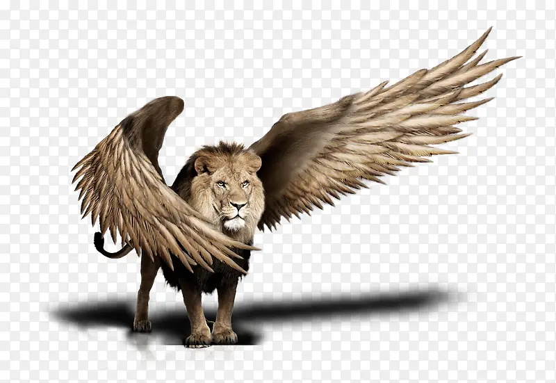 创意翅膀狮子动物