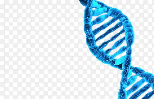 蓝色生命DNA