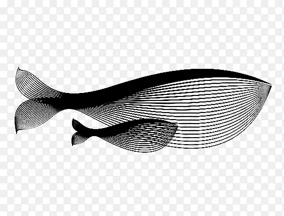 线构成鱼形