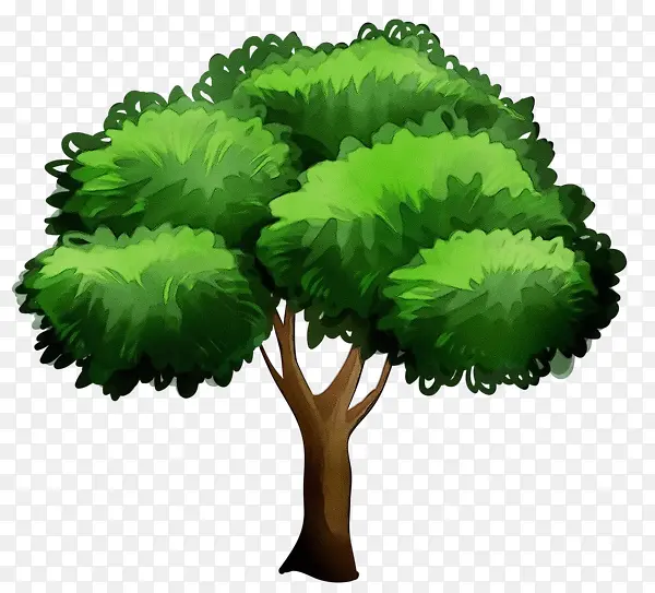 手绘绿色的一颗大树
