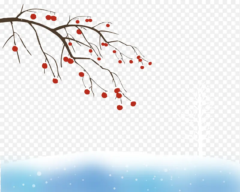 下雪中的柿子树，一点点红